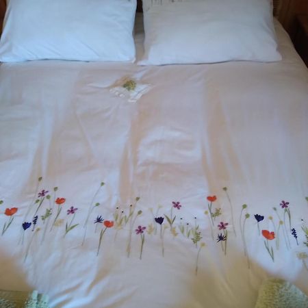 Les Dames De La Saugiat Bed and Breakfast Le Fied Buitenkant foto