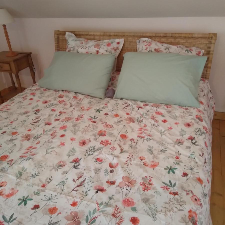 Les Dames De La Saugiat Bed and Breakfast Le Fied Buitenkant foto