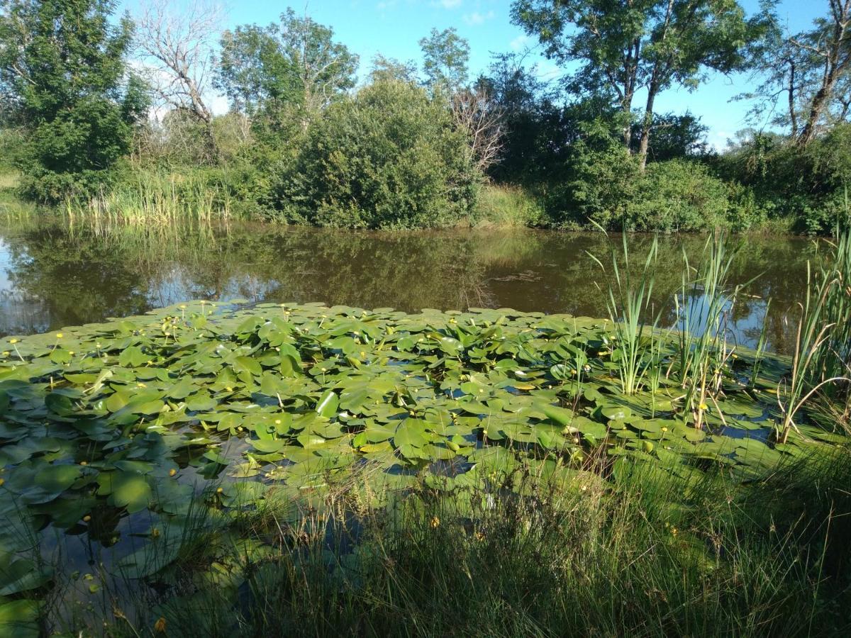 Les Dames De La Saugiat Bed and Breakfast Le Fied Buitenkant foto