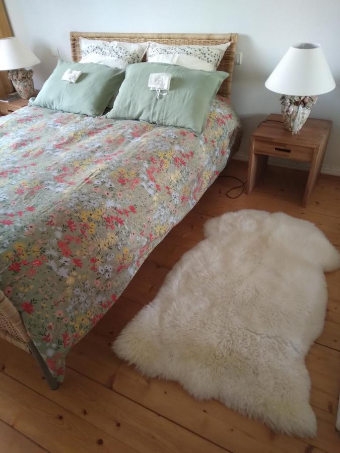 Les Dames De La Saugiat Bed and Breakfast Le Fied Buitenkant foto