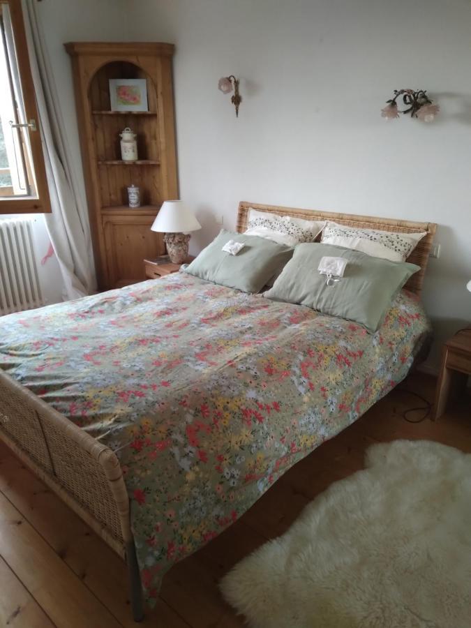 Les Dames De La Saugiat Bed and Breakfast Le Fied Buitenkant foto